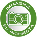 PORTA ANT. SX. - RAV 4 2A SERIE (09/00>01/06<)